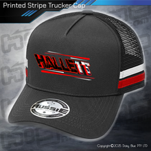 Load image into Gallery viewer, STRIPE Trucker Cap - Dale Hallett