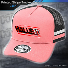 Load image into Gallery viewer, STRIPE Trucker Cap - Dale Hallett