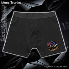 Load image into Gallery viewer, Mens Trunks - 79 GRNT