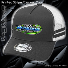 Load image into Gallery viewer, STRIPE Trucker Cap - Alex Nichols