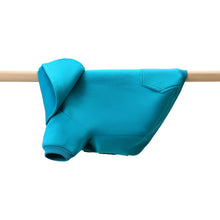 Load image into Gallery viewer, Doggie Hoodie - Jetty Boy
