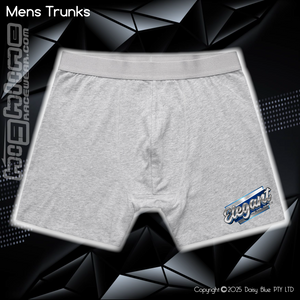Mens Trunks - Elegant Metal Shine