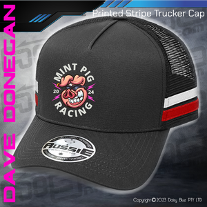 STRIPE Trucker Cap - Mint Pig Streetie Revival