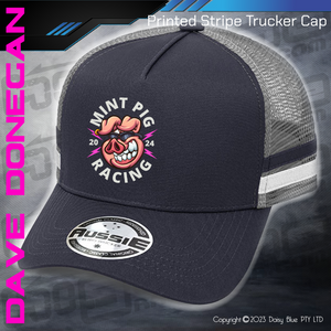 STRIPE Trucker Cap - Mint Pig Streetie Revival