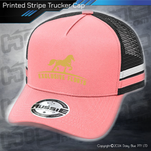 Load image into Gallery viewer, STRIPE Trucker Cap - Exclusive Floats
