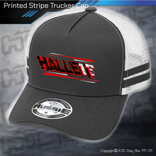 Load image into Gallery viewer, STRIPE Trucker Cap - Dale Hallett
