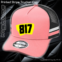 Load image into Gallery viewer, STRIPE Trucker Cap - Mason Sawyer
