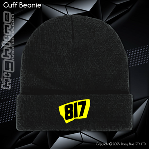 BEANIE - Mason Sawyer