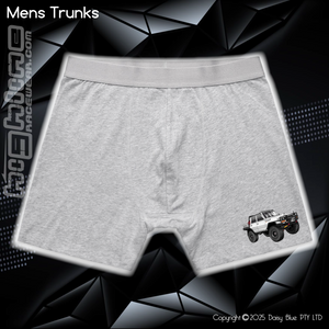 Mens Trunks - Shorty