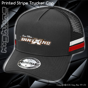 STRIPE Trucker Cap - Jason Feltham