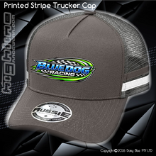 Load image into Gallery viewer, STRIPE Trucker Cap - Alex Nichols
