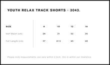Load image into Gallery viewer, Track Shorts - Mint Piglet Race it
